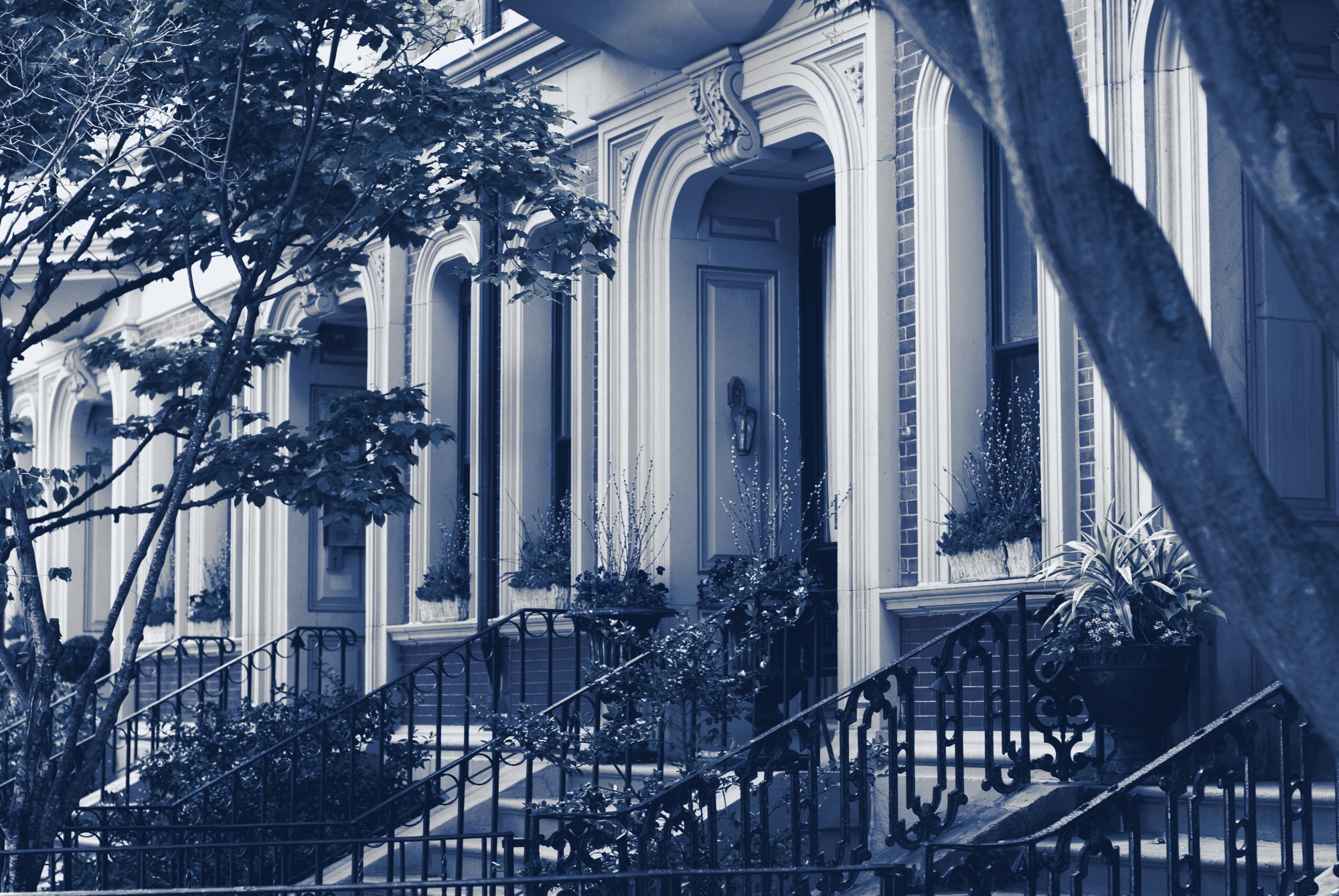 Row of well-kept residential building entrances with stoops, iron railings, window boxes and street trees, tinted navy