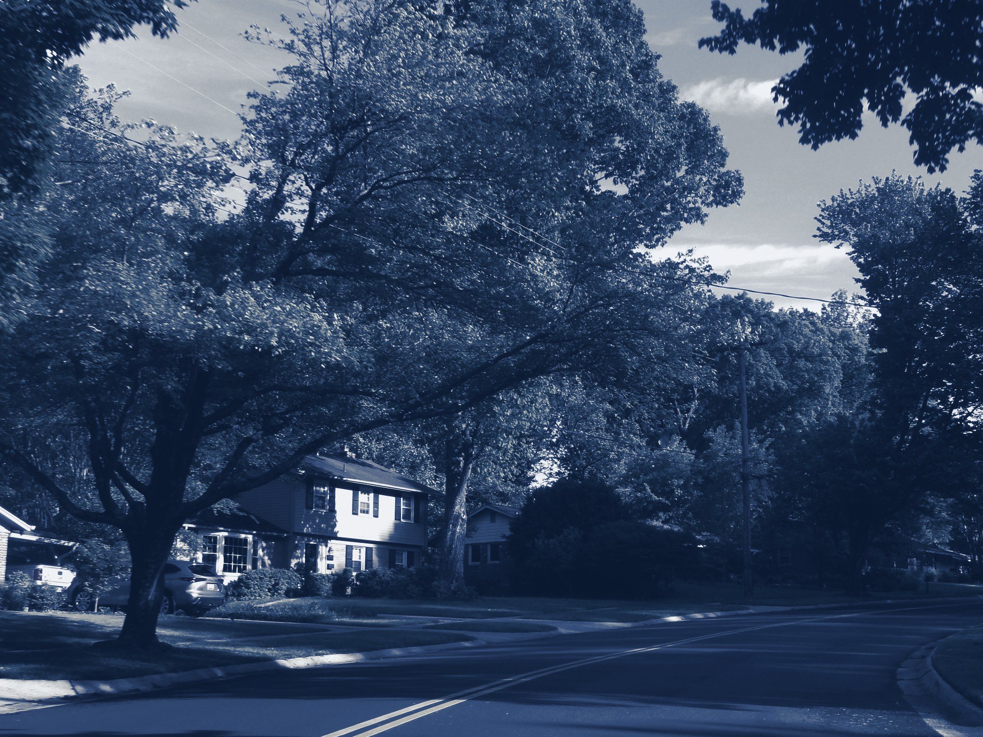 Tree-lined residential street, tinted navy